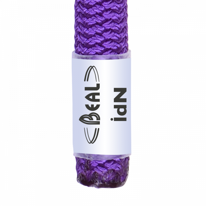 Beal Wall Master VI 10.5mm Unicore - Indoor Rope