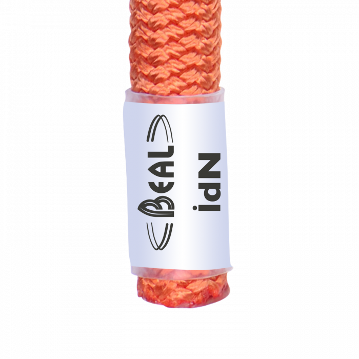 Beal Wall Master VI 10.5mm Unicore - Indoor Rope